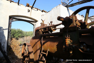 zzena-13-09-2014 08-50-30
